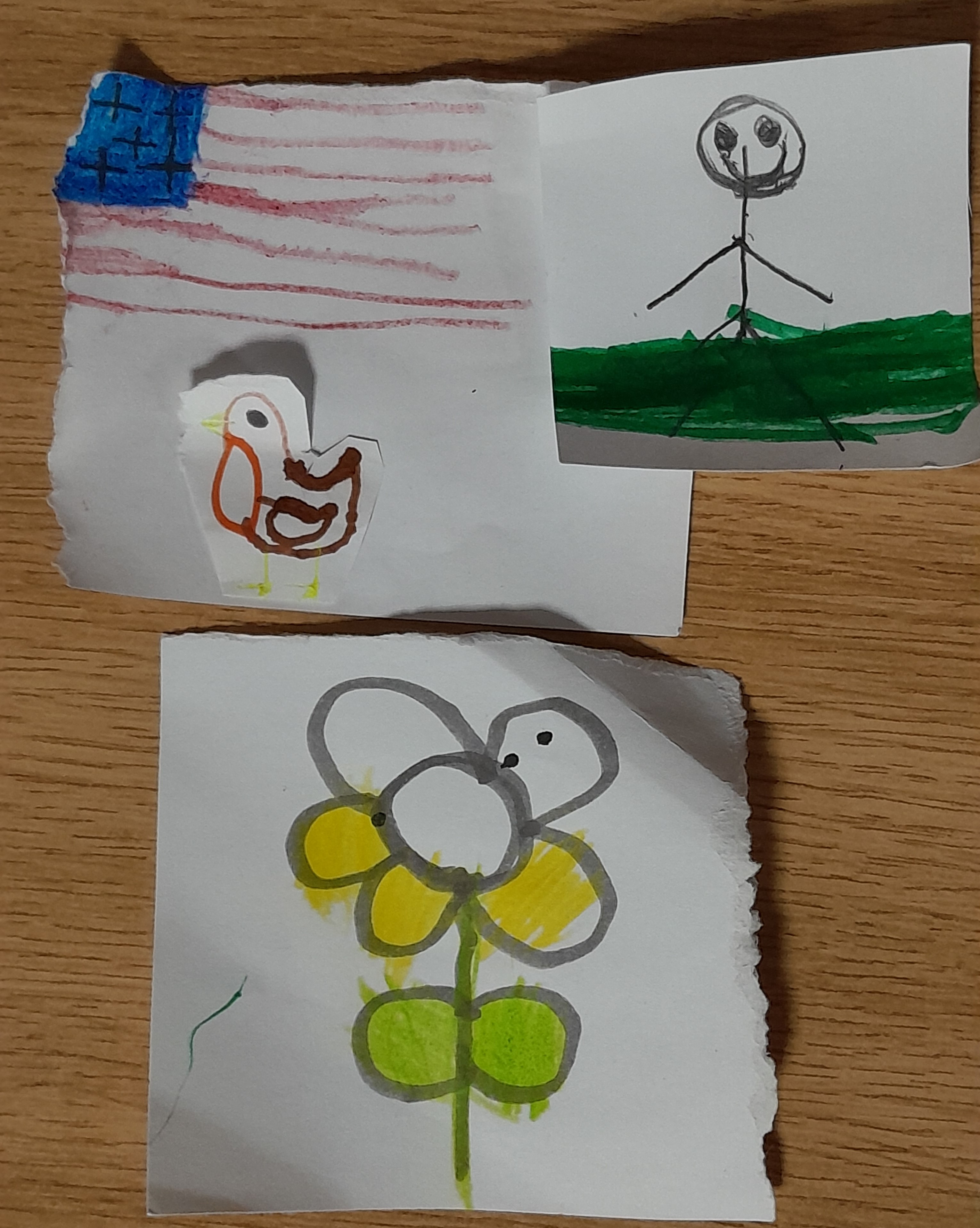 Roman's drawing of a flag, the robin, the daisy, and himself